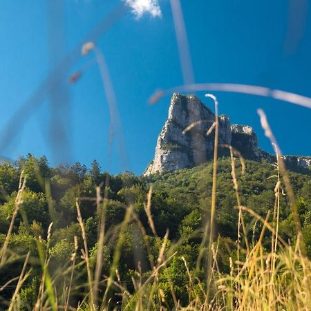 Vila Rozi, Osilnica - Vacation House Pr' Vili Rozi Buitenkant foto