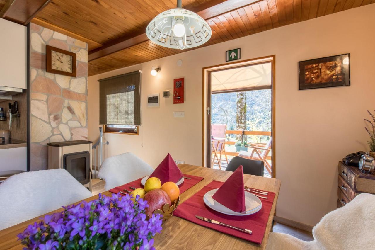 Vila Rozi, Osilnica - Vacation House Pr' Vili Rozi Buitenkant foto