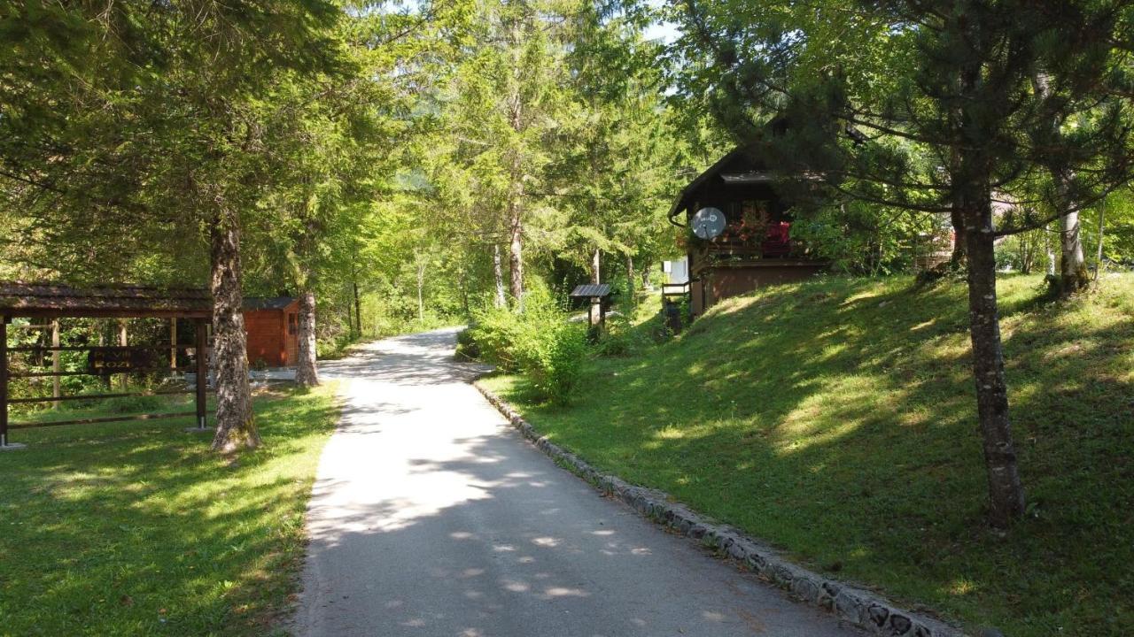 Vila Rozi, Osilnica - Vacation House Pr' Vili Rozi Buitenkant foto