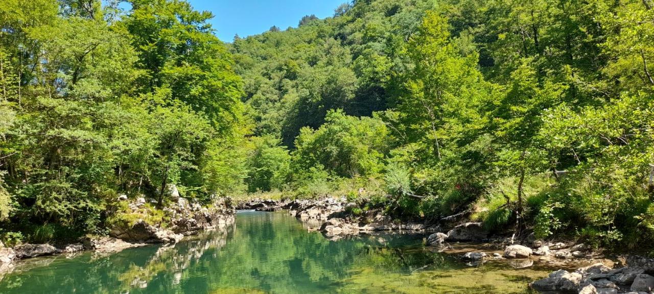 Vila Rozi, Osilnica - Vacation House Pr' Vili Rozi Buitenkant foto