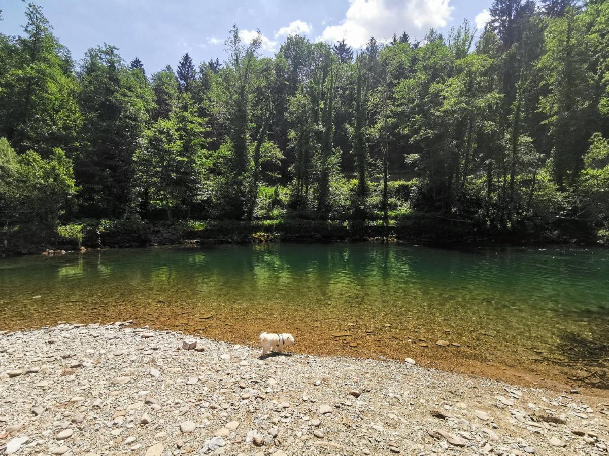 Vila Rozi, Osilnica - Vacation House Pr' Vili Rozi Buitenkant foto